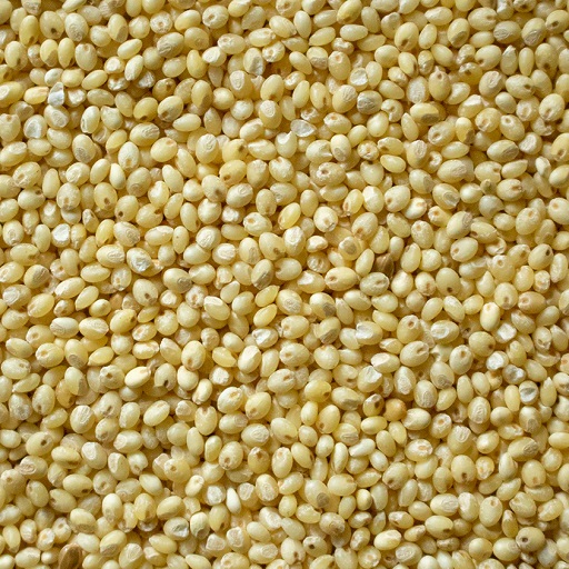 Organic Proso Millet -Baragu